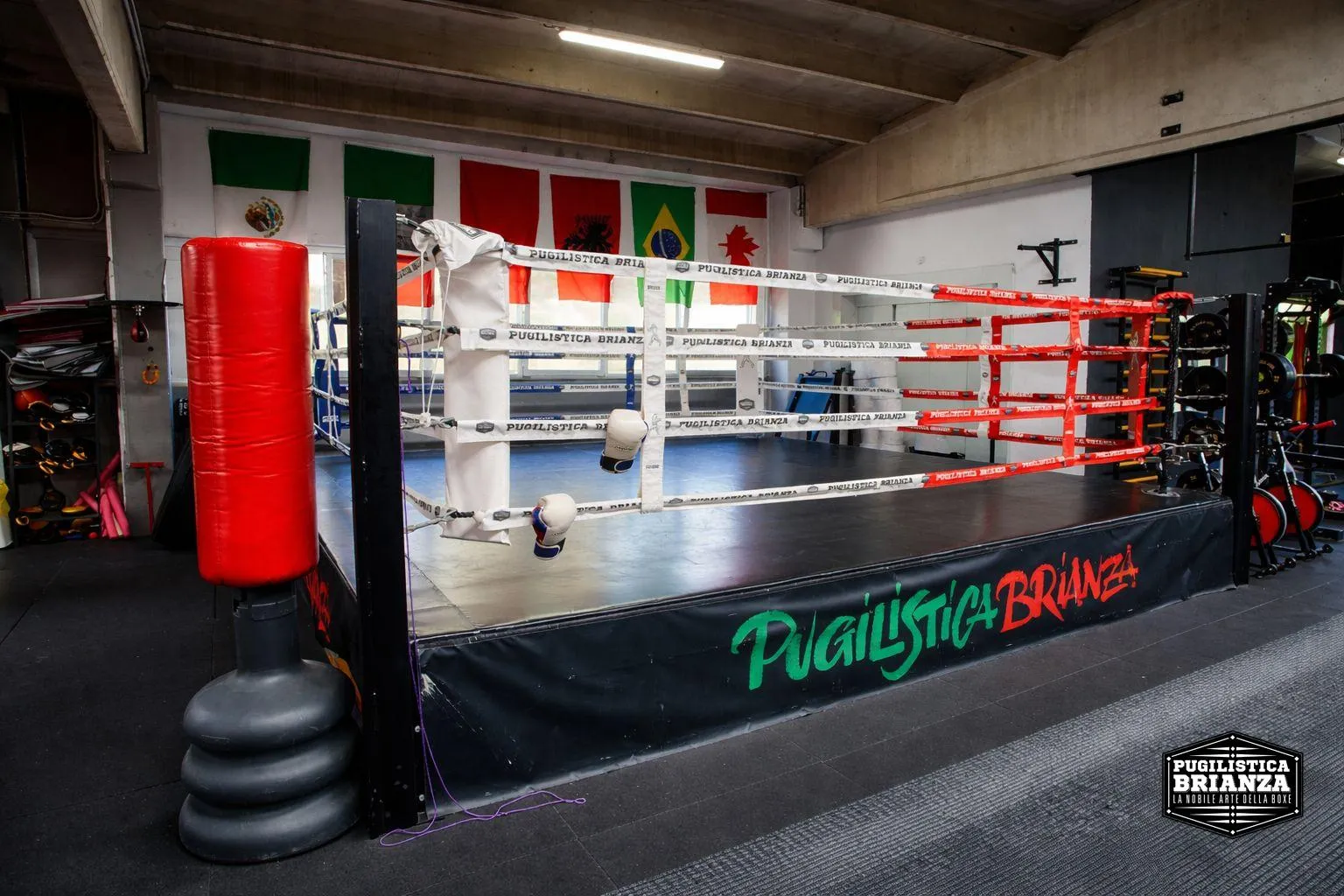 Ring da boxe della palestra Pugilistica Brianza a Barlassina
